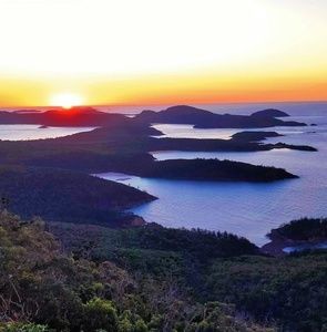 Meet your Posher, Zane